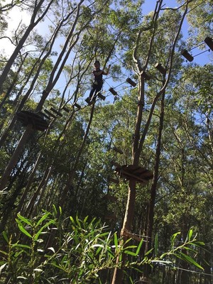 TreeTop Adventure Park Pic 3