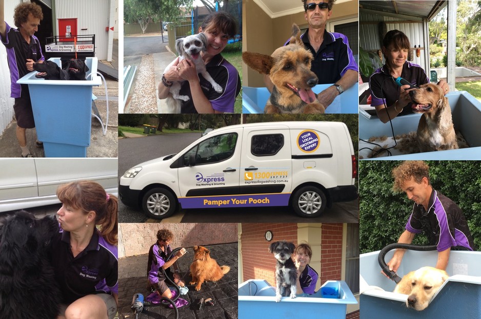 Express Dog Washing and Grooming: Tea Tree Gully Pic 1