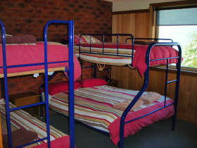 Apollo Bay Backpackers Lodge Pic 2 - Dorm room