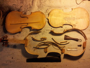 Vincent Hayes Violins Pic 5