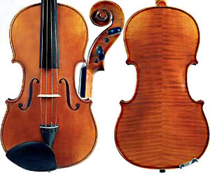 Vincent Hayes Violins Pic 3 - I sell Raggetti Viotti Gliga Hofner Enrico Salieri Bogey Rattlesnake and Suzuki violins cellos and bassesall at Australias lowest prices guaranteed