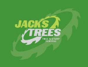 Jacks Trees Pic 2 - tree service