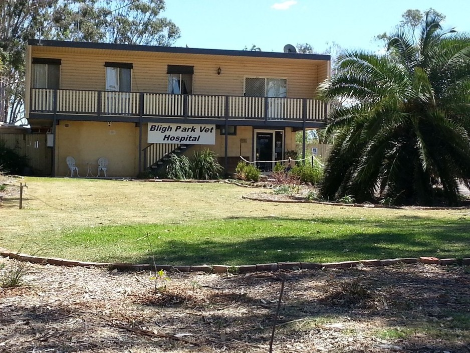 Bligh Park Veterinary Hospital in South Windsor, Sydney, NSW