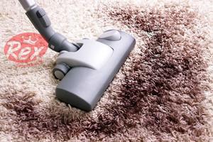 Rex Carpet Cleaning Pic 4 - Carpet Cleaning