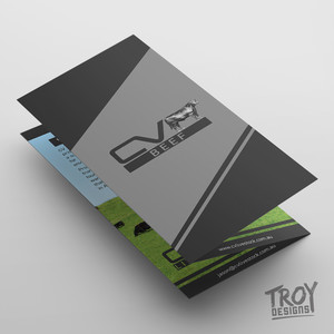 Troy Designs Pic 2 - Troy Designs Flyer and Brochure Design Services