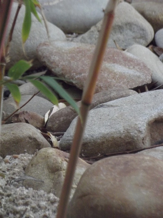 Ormescapes Landscape Construction Pic 1 - Bamboo and stone