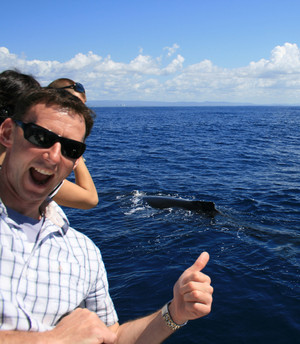 Rivers Cruises & Tours Pic 5 - Rivers Whale Watching Tours Gold Coast