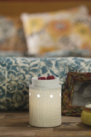 Scentsy-Independant Consultant Pic 5