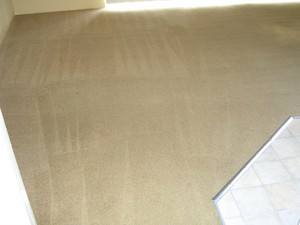 DNT Carpet & Upholstery Care Pic 2 - After