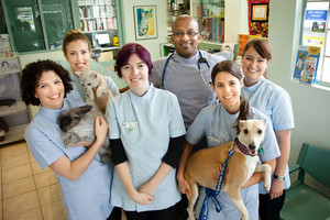 Reservoir Veterinary Clinic Pic 2 - Meet the team