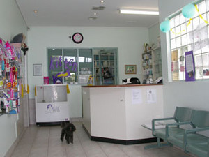 Reservoir Veterinary Clinic Pic 3 - Our reception where we greet our visitors