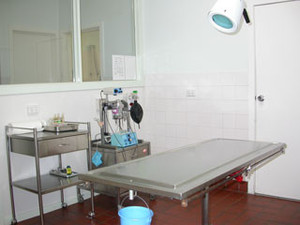 Reservoir Veterinary Clinic Pic 4 - Surgical theatre