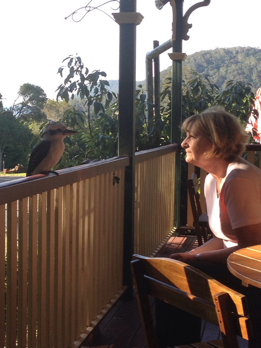 Two Pines Cafe in Natural Bridge, QLD, Cafes TrueLocal