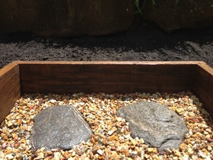 Tims Garden & Outdoor Services Pic 5 - stepping stones access