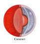 Eye C U Optometrists Pic 5