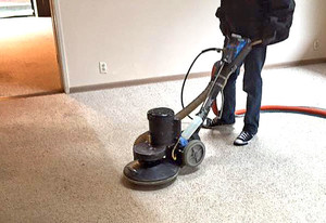 Spotless Carpet Cleaning Pic 3