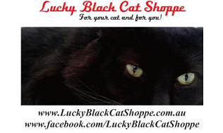 Lucky Black Cat Shoppe Pic 1