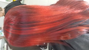 Snippets by Janine Pic 3 - Beautiful winter reds