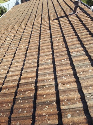 Affordable Maintenance Services Pic 2 - Roof before cleaning