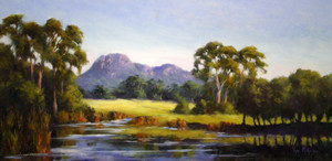 Ros Mcarthur Art Studio Pic 4 - Mt Sturgeon Dunkeld 90x40cm