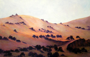 Ros Mcarthur Art Studio Pic 5 - Paddys Range 90x60cm