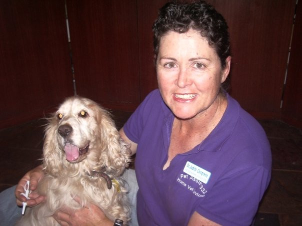 Pet Assist 332 Home Vet Services Pic 1