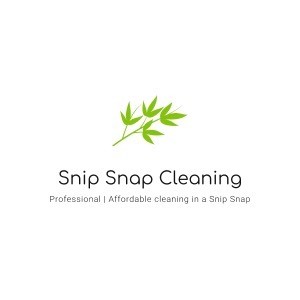 Snip Snap Cleaning Pic 1