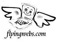 Flying Webs Pic 1 - personalized service