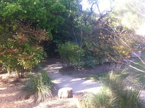 Mt Waverley Preschool Centre Pic 5