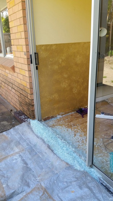 Monty's Glass Pic 1 - Family dog ran into this sliding door