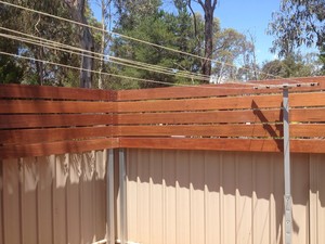 Bendigo Taskmaster Pic 3 - Privacy screen