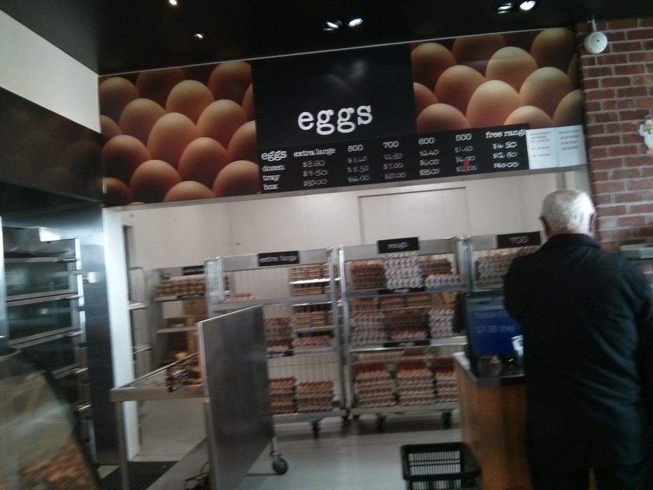 Keysborough Egg Farm Pic 1