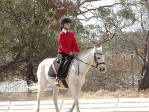 Globe Derby Pony Club Pic 4 - Metro Zone Dressage Competition Day