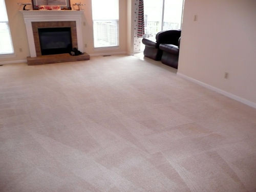 Spyro Carpet Cleaning Pic 1