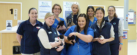 Our Vet Point Cook Pic 1 - Back row L to R Beck Store General Manager of Point Cook nurse Rachelle Dr Candice Dr Meredith front L to R Dr Charity nurse Rachael Dr Allison