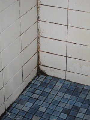 perfectionbathrooms-tiling Pic 4 - before we retiled walls shower base