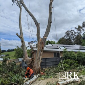 RK Tree Specialists Pic 5 - Storm recovery tree services