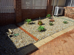 Feel Green Pty Ltd Pic 4 - Succulent garden