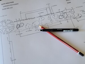 Garden Restoration Pic 4 - Creating a not to scale planting plan