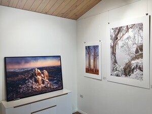 Alpine Light Gallery Pic 4