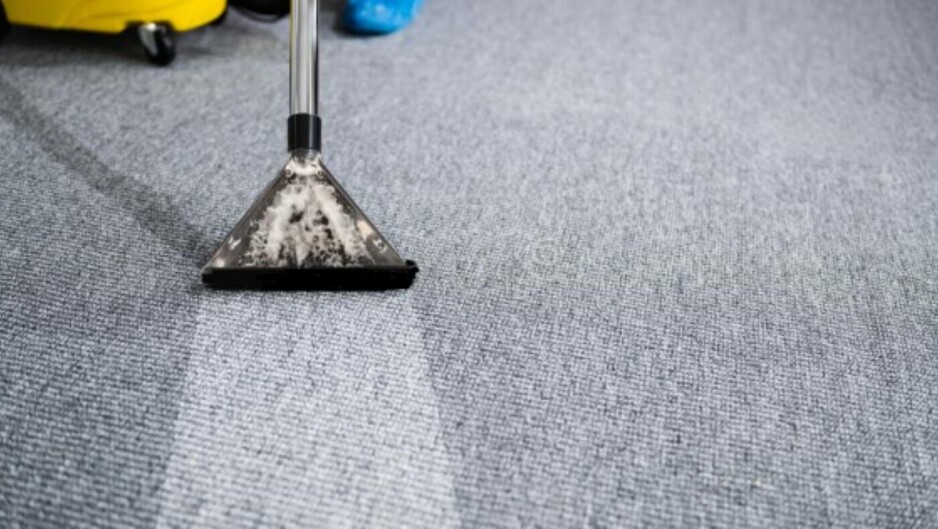 711 Carpet Cleaning Maroubra Pic 2