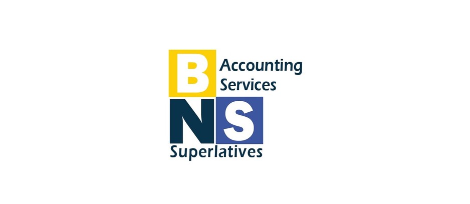 Bns Accounting Services Pic 1