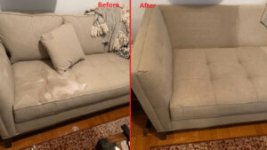 Karls Couch Cleaning Perth Pic 3