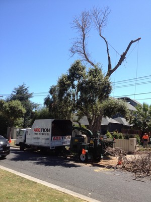 Axetion Tree Services Pic 3