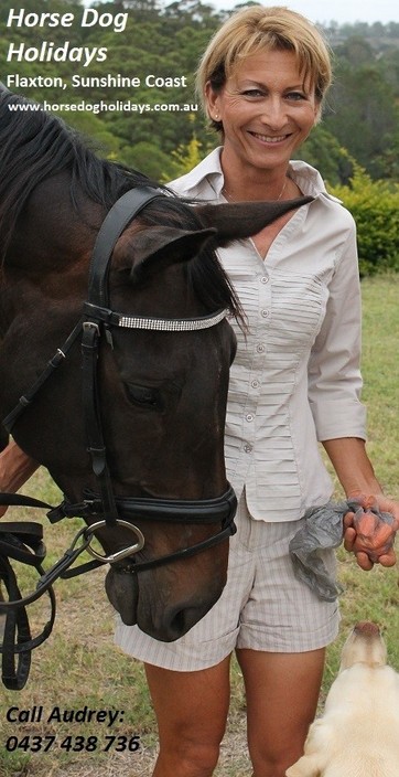 Horse Dog Holidays Pic 1 - Horses dogs and children welcome