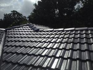 Weathersheild Roof Restorations Pic 4