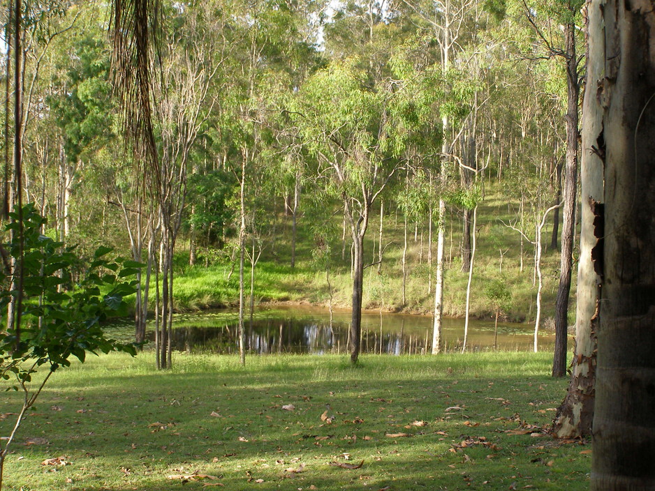 Hideaway Haven Bed & Breakfast Pic 1 - Undulating hills