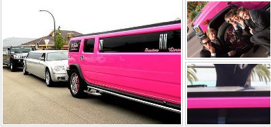 Pink Hummer Limo Hire Perth Pic 2