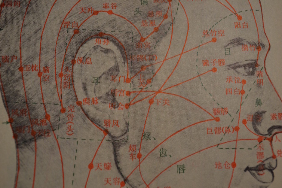 Cosm Natural Health Pic 1 - a map of points on the head point to the map your journey to health Cosm Natural Health acupuncture