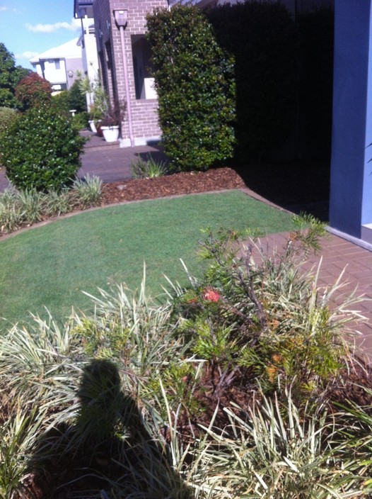 Bayside Garden Care and Landscapes Pic 1